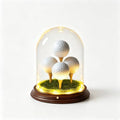 Hole in One Golf Ball Display Case by DarSeity