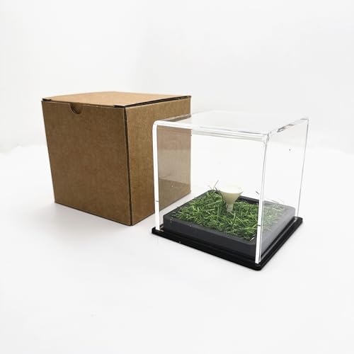 HH-GOLF® Golf Ball Display Case, Transparent Souvenir Gift Presentation Box - Image 6