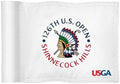 2026 U.S. Tour Mini Golf Flag, 6 x 8 in by COGOLFINGOUTDOOR