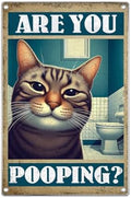Funny Cat Bathroom Wall Art Sign Are You Pooping Quote Metal Poster Humorous by WelcometoGOLEEX