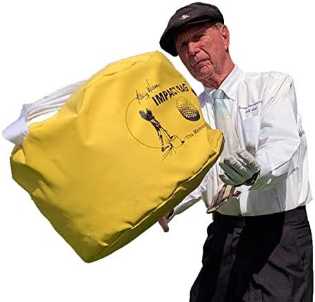 Golf Swing Trainer - Image 5
