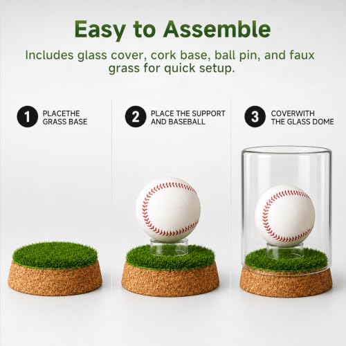 Rocalt Baseball Display Case, Real Glass Holder - Image 7