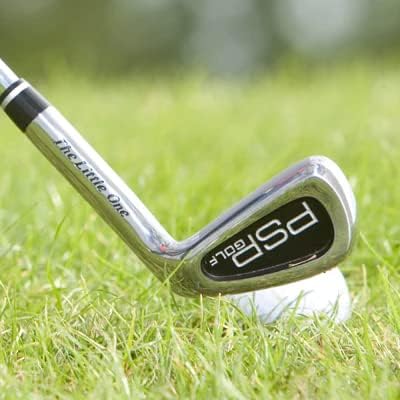 The Little One 7 Iron Right Hand Swing Trainer for Adults: Golf Training Aid for Finding The Sweet Spot (Stiff Flex) Black