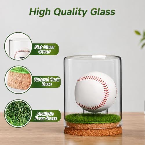 Rocalt Baseball Display Case, Real Glass Holder - Image 3
