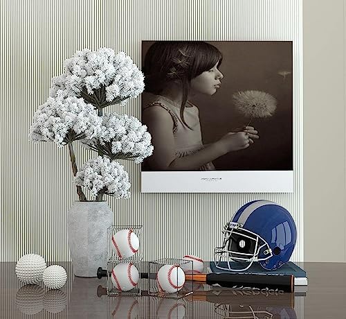 Danodoi UV Protected Clear Acrylic Baseball Display Cube - Image 3