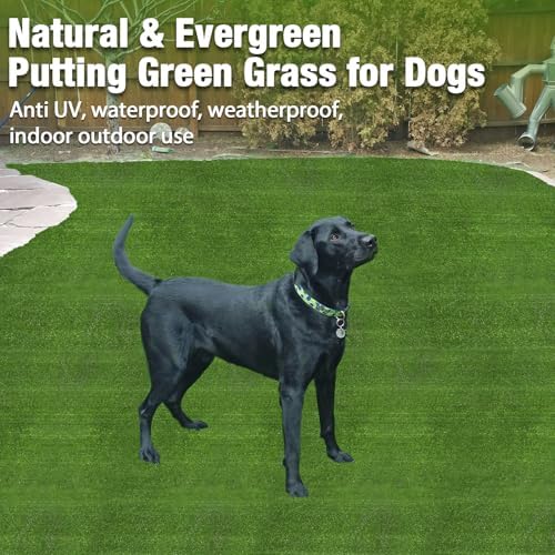 GLOBREEN Large Artificial Grass Outdoor - Image 3