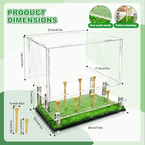 Acrylic Metal Golf Ball Display Case - Image 2