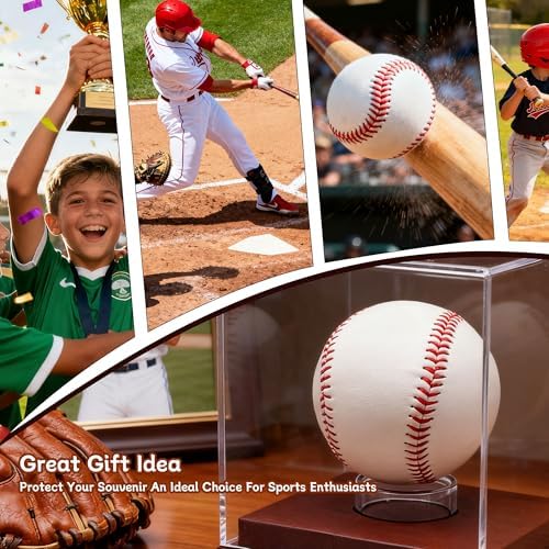 Baseball Display Case - Image 6