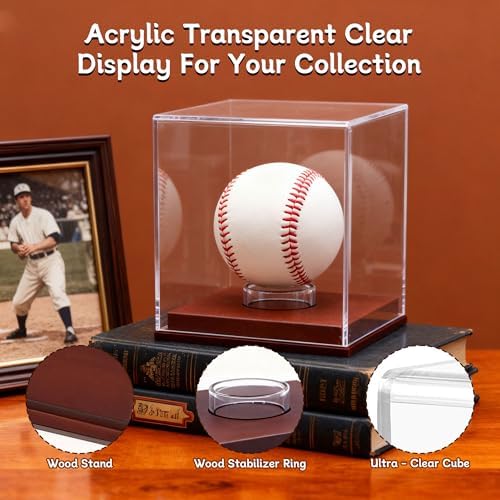 Baseball Display Case - Image 4