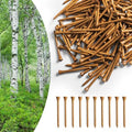 Amy Sport Golf Tees Wood 5X Stronger 50 Pack by AmySport