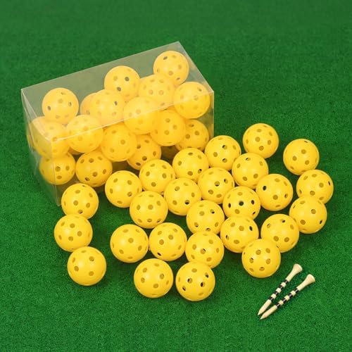 26 Pack Practice Golf Balls, 41mm Hollow Airflow Plastic Golf Balls by Bac-kitchen