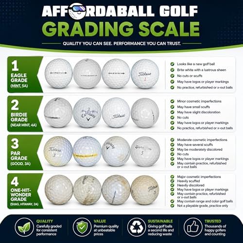 Afford-A-Ball Golf | 300/100/50 Count Box | Range | Shag | Used | Hit Away | - Image 3