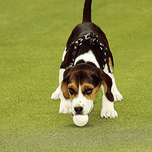 40 Pack Foam Golf Practice Balls - Image 6