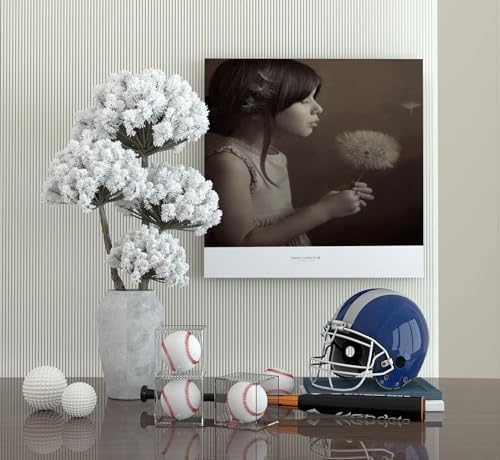 Danodoi 12 Pack UV Protected Clear Acrylic Baseball Display Cube - Image 6