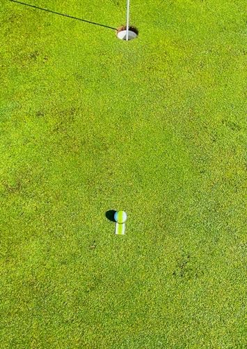 Golf Ball Marker - Image 2