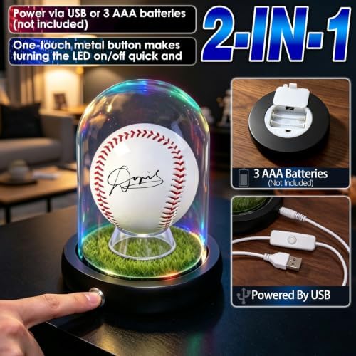 Real Glass Baseball Display Case - Image 3