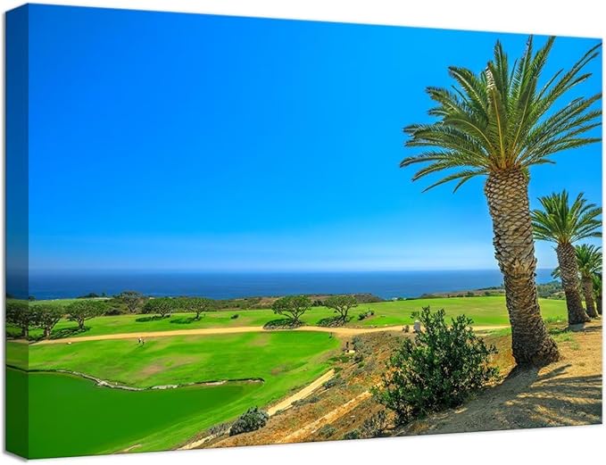 USA California Golf Course with Palm Tree Wall Art Picture California Coastline Golf Course Wall Decor for Living Room Bedroom Bathroom Home Decorations Framed Ready to Hang(12''H x 16''W)
