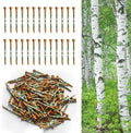 FINGER TEN Wooden Golf Tees Western Birch 100 Pack by FINGERTENSport