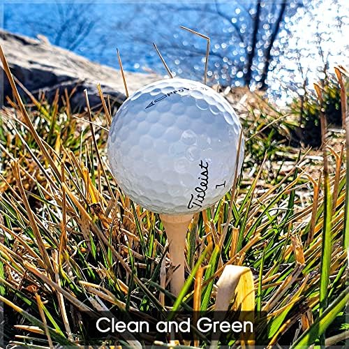 Bamboo Golf Tees 2 3/4-100pack Premium Quality - Image 3
