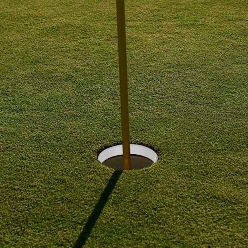 OSALADI 6pcs Golf Putting Green Hole Cup Rings Plastic White - Image 6