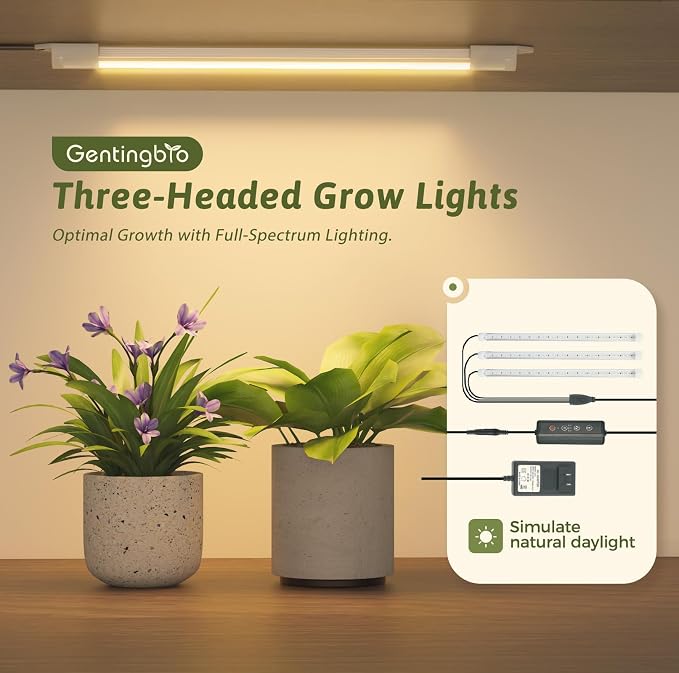 GENTINGBRO Plant Stand Indoor - Image 4