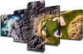 5 Panel Canvas Wall Art California Golf Links Paintings for Bedroom Ocean Stone and Green Lawn Pictures HD Prints Modern Home Decor Sea Landscape Artwork Framed Stretched Ready to Hang(50''Wx24''H)
