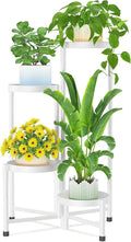 iDavosic.ly Plant Stand Indoor Outdoor, 4 Tier Metal Corner Shelf, Folding by iDavosicly