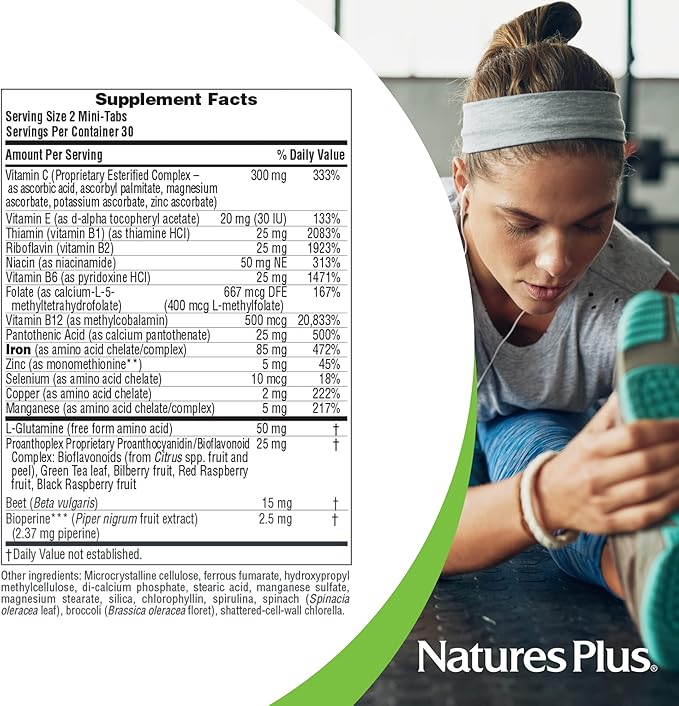 NaturesPlus Hema-Plex Iron - 60 Slow-Release Mini-Tabs - 85 mg Chelated Iron - Total Blood Health - with Vitamin C & Bioflavonoids - Vegan, Gluten Free - 30 Servings