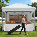 Raynesys 10x10ft Pop Up Canopy Tent by Raynesys