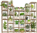 GENTINGBRO 22 Tiers Plant Shelf by Gentingbro