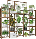 GENTINGBRO Plant Stand Indoor Outdoor 63" Tall Plant Shelf by Gentingbro